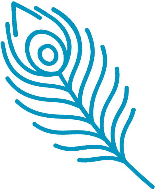 pfauenfeder-rechts-tuerkis WordPress Webdesign aus Düsseldorf