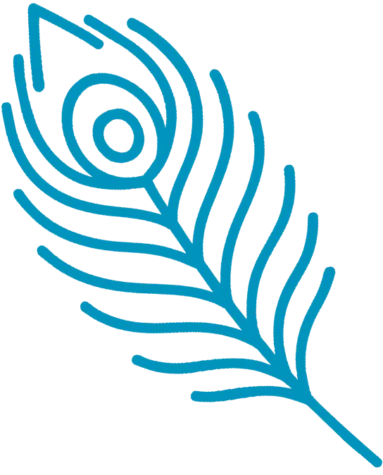 pfauenfeder-rechts-tuerkis WordPress Webdesign aus Düsseldorf